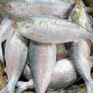 ১০ পিস মাছে ৫ কেজি